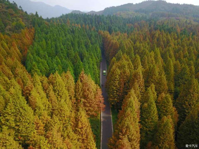 山王坪自驾游